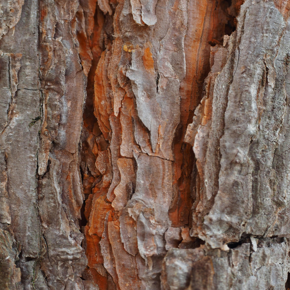 Azzaro The Most Wanted Intense - Image 3