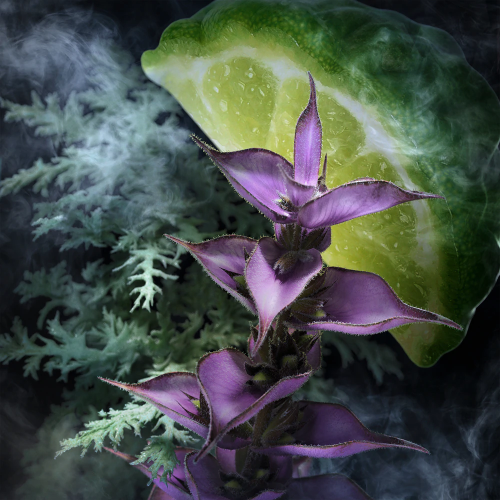 Davidoff Champion Eau de Toilette for Men - Image 3