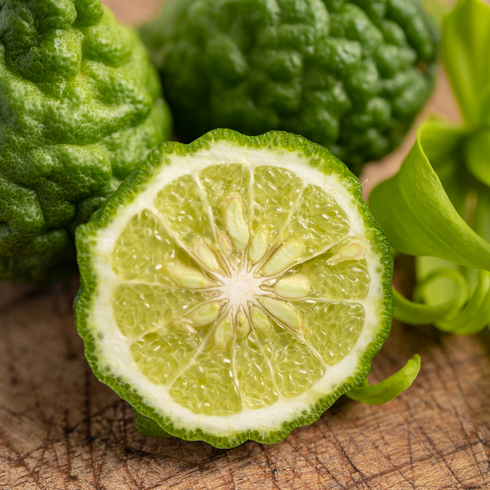 Guess Women / Femme - Image 4