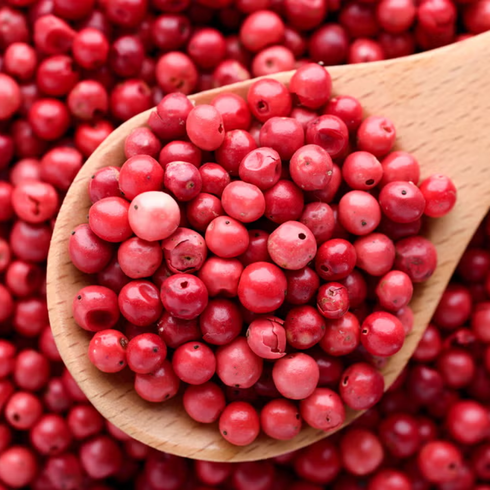 Mont Blanc Explorer - Tester - Image 4