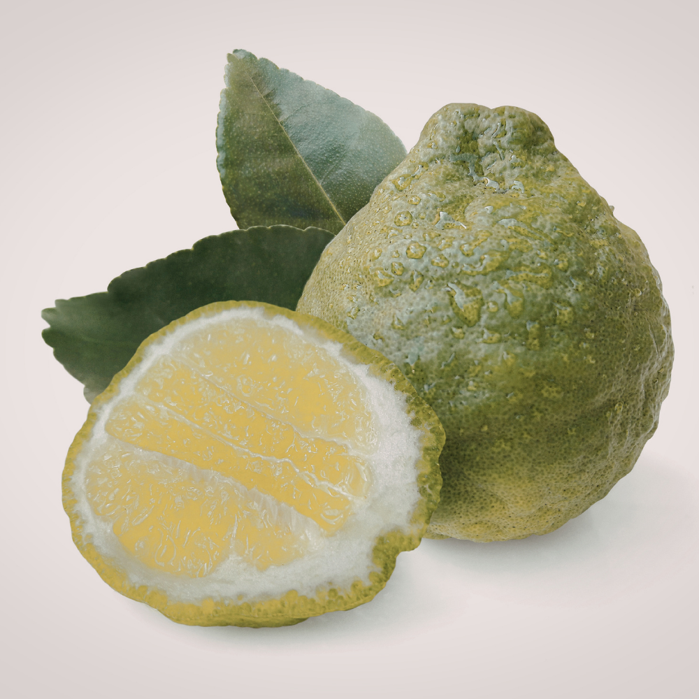 Mont Blanc Legend - Image 3