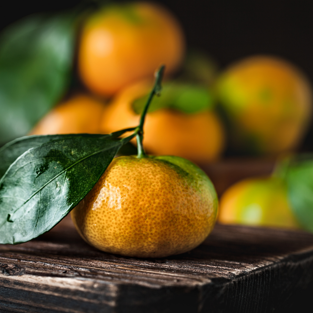 Mont Blanc Legend - Image 4