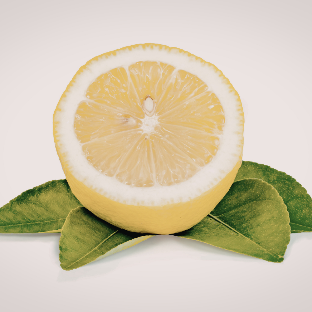 Nautica Classic Eau de Toilette - Image 4