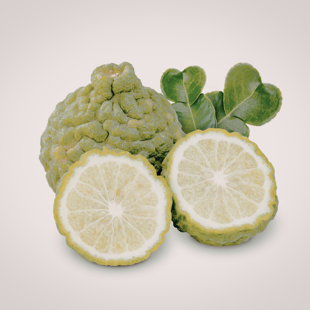 Tommy Hilfiger Tommy Girl Now - Image 3