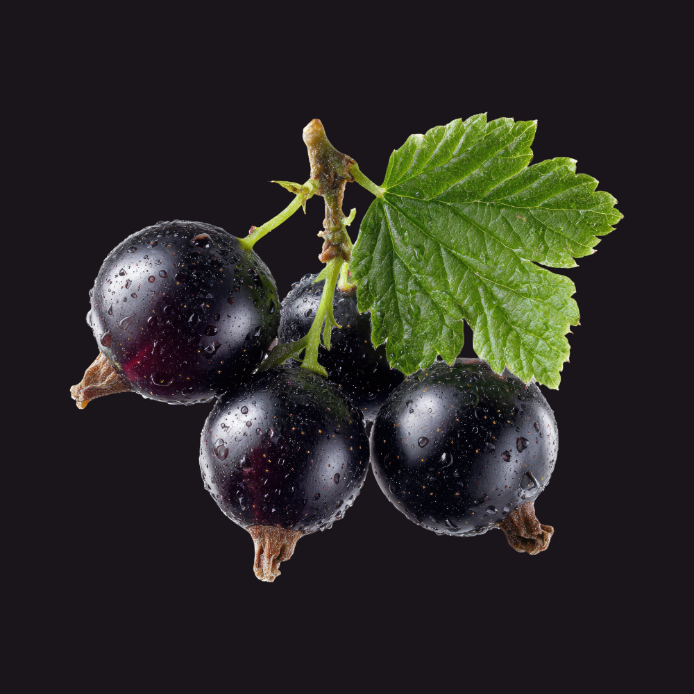 Versace Crystal Noir Eau de Toilette - Image 4